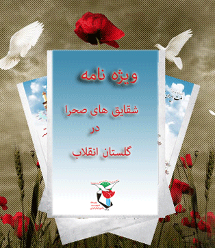 ویژه نامه شقایق های صحرا در گلستان انقلاب