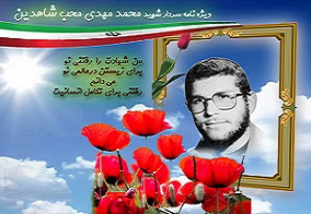 ویژه نامه سردار شهید محمد مهدی محب شاهدین