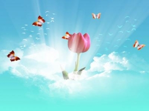 نگاهی به زندگی شهید ثریا احمدی نگاهی به زندگی شهید ثریا احمدی