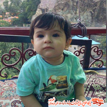 آسمانی شدن در ماه میهمانی خدا / شهدای حادثه تروریستی مجلس آسمانی شدن در ماه میهمانی خدا / شهدای حادثه تروریستی مجلس