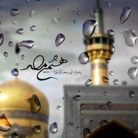 تقدیم به هشتمین آفتاب ولایت؛ میلاد گل تقدیم به هشتمین آفتاب ولایت؛ میلاد گل