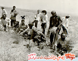 زندگینامه معلم شهید محمد جوادی زندگینامه معلم شهید محمد جوادی