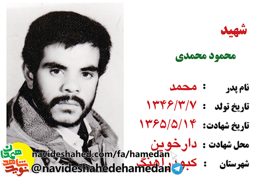 گروهی از مردم در جهالت هستند و دین را سپر جانشان ساخته اند گروهی از مردم در جهالت هستند و دین را سپر جانشان ساخته اند