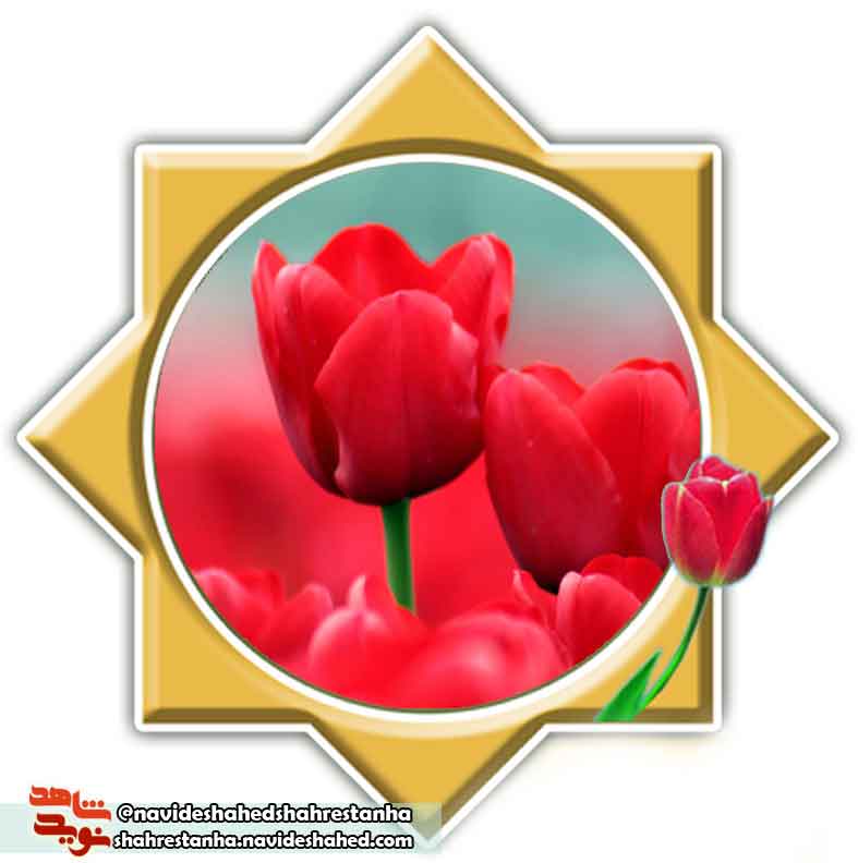 نامه نامه
