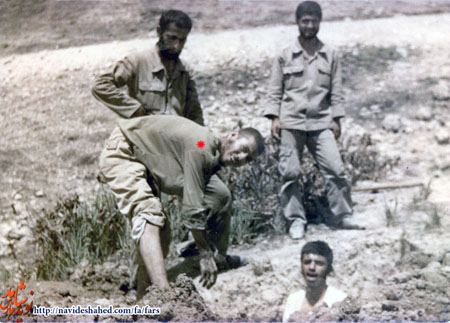 «علی شفاعت» «علی شفاعت»