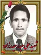 گذری بر زندگی شهید انقلاب «علی حیدر حیدرزاده»