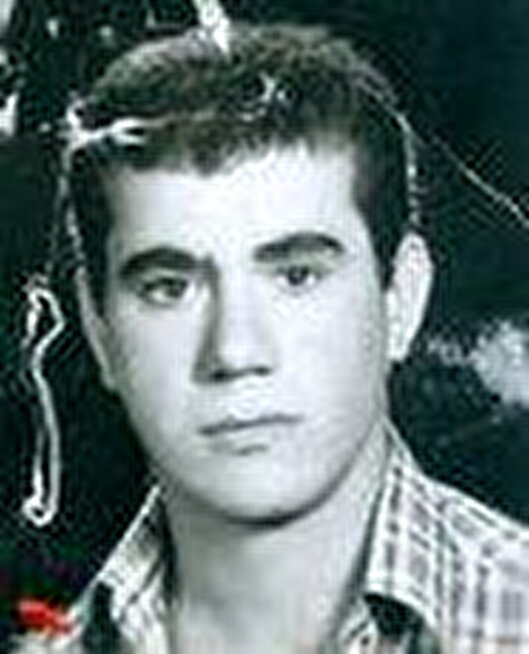 از قفسه‌های کتابخانه تا خط مقدم نبرد