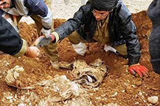 کشف پیکر مطهر یک شهید در طلاییه
