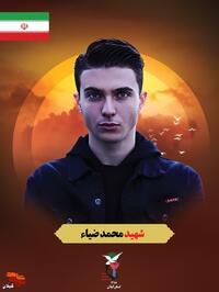 شهید وطن محمد ضیا در تاریخ ۲۷ شهریور ۱۳۸۰ در شهرستان رضوانشهر استان گیلان به دنیا آمد. جوانی آرام، باایمان و پرتلاش بود که پس از دریافت مدرک کارشناسی کامپیوتر، لباس خدمت به وطن را بر تن کرد و به عنوان سرباز فراجا راهی تهران شد. اما در حمله موشکی رژیم دژخیم و کودک‌کش صهیونیستی، مظلومانه به شهادت رسید و به کاروان شهدای سرافراز ایران اسلامی پیوست.